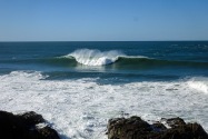 Bodega Bay