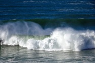 Bodega Bay