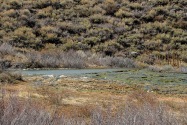 Hwy 395