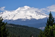 Mt Shasta