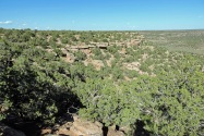Canyon of the Ancients NM, CO