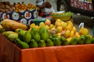 Cartagena