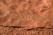 Chaco Culture NHP, NM