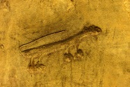 Chaco Culture NHP, NM