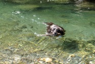 Chetco River, CA