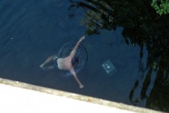 Grants Pass, OR