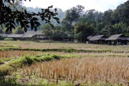 15-ethnicvillage