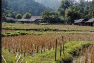 17-ethnicvillage
