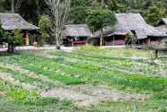 18-ethnicvillage