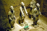 55-terracotta
