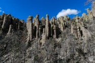 Chiricahua NM, AZ