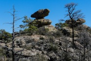 Chiricahua NM, AZ