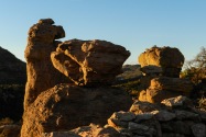 Chiricahua NM, AZ