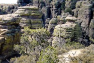 Chiricahua NM, AZ