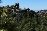 Chiricahua NM, AZ