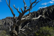Chiricahua NM, AZ