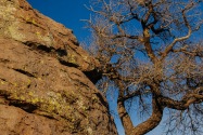 Chiricahua NM, AZ
