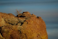 Chiricahua NM, AZ