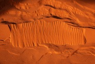 Coral Pink Sands SP, UT