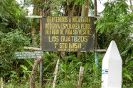 42-Cano Negro