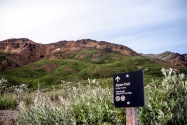 17-Denali.jpg