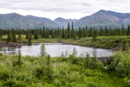 42-Denali.jpg