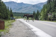 48-Denali.jpg