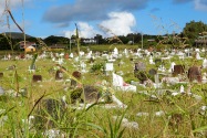 011-EasterIsland.