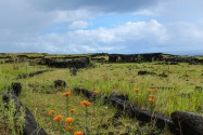 031-EasterIsland