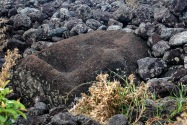 036-EasterIsland