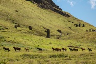 81-easterisland