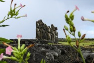 97-easterisland