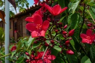 18-laspenas
