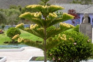 38-quito2