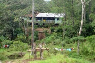 01-macas