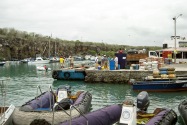 27-puertoayora