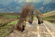 52-otavalo