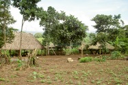 02-lodge