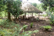 03-lodge