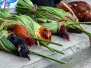 Market Day