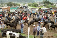 24-otavalo
