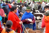 27-otavalo