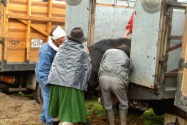 32-otavalo