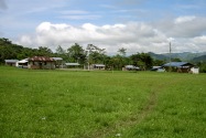06-shuarachuar