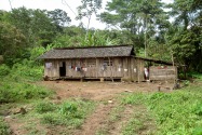 07-shuarachuar