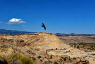 Escalante NM UT