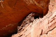 Escalante NM UT