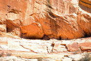 Escalante NM UT