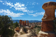 Escalante NM UT