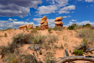 Escalante NM UT